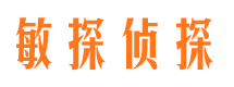 兰山侦探调查公司